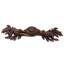 Carlotta Bar / Handle Pull-10365425