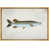 Natural Floater Frame