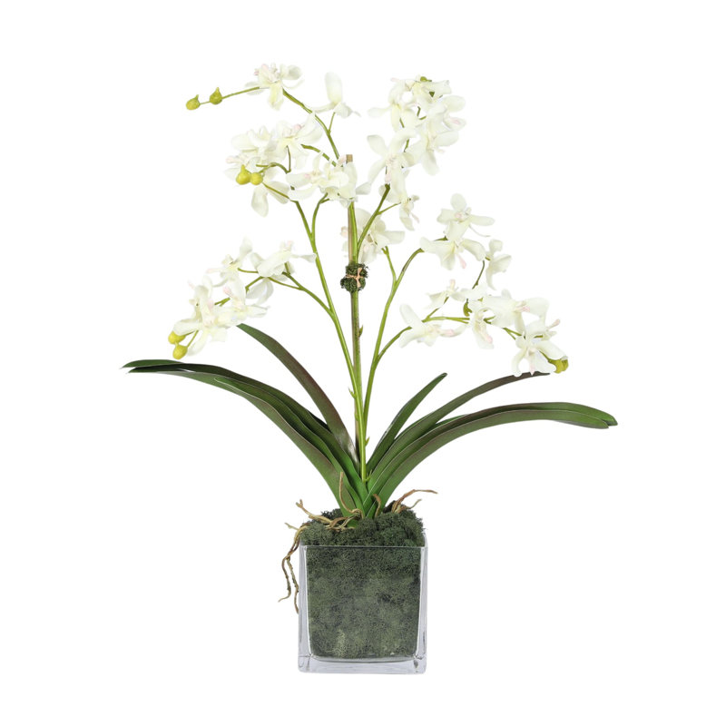 Faux Orchid Plant In White Vase, White