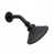 Unlacquered Oil Rubbed Bronze