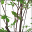 Arbre à feuilles artificiel 180 cm-986227386