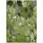 Alfonzo Floral Indoor / Outdoor Rug-997668909