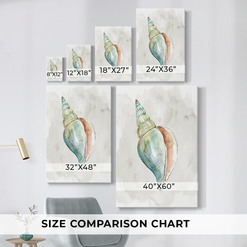 Pastel Shell II - Cavas enveloppés de galerie, H 18 po x l 12 po