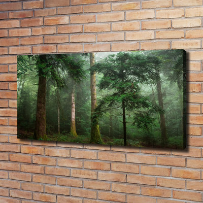 Fog In The Forest - Wrapped Canvas Print