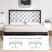 Konrad Metal Platform Bed-80040658-80040659