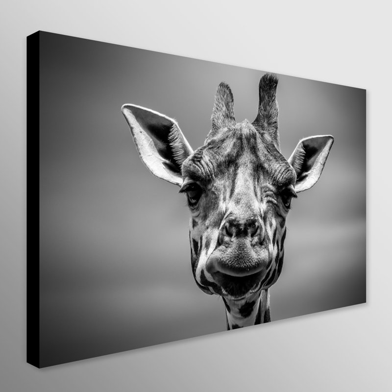 Wrapped Canvas Art Prints, 84 cm H x 117 cm W