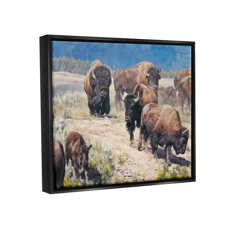 «Union Rustic Commander In Chief Bison Herd», art mural encadré par David Graham, Cadre flottant noir de jais