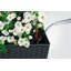 Balconera Window Box Planter-16493011-16493009