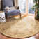 Molter Hand Tufted Wool Southwestern Rug