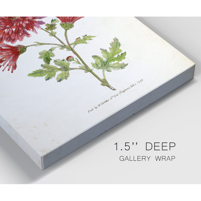 «Botanical III», impression sur toile tendue, H 48 po x l 32 po