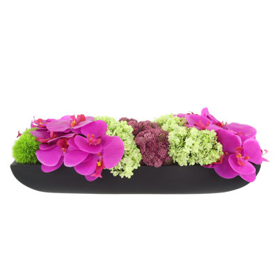 Orchid and Sedum Arrangement in Fiberstone Planter