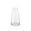 Tonale Carafe