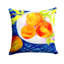  Housse et insert de coussin d'extérieur carré Bowl of Peaches
