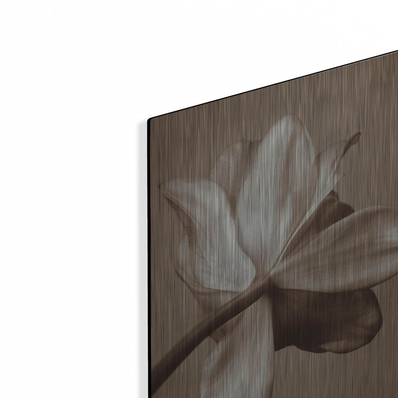" Moonlight Tulip " by Rebecca Swanson