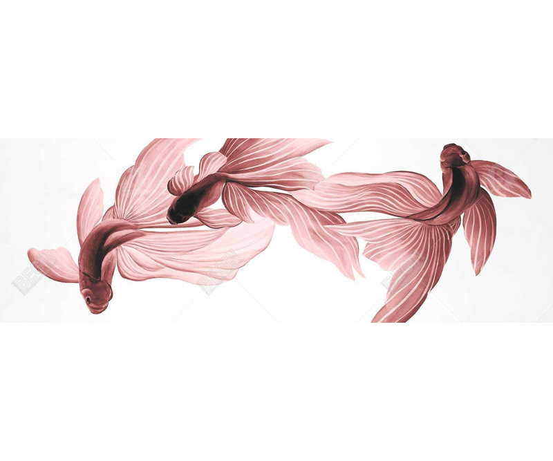 «Red Betta Fish» sur toile