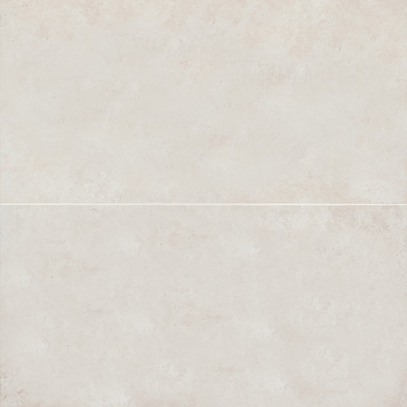 Thaddeus 24" x 48" Matte Porcelain Wall & Floor Tile, White