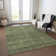 Machine Washable Indoor/Outdoor Chantille ACN1165 Olive