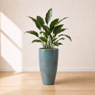 ECOBO Eco-Friendly Round Pot Planter, VicenzaIndoor/Outdoor use,Four Season Use
