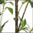 120CMARTIFICIAL PIERIS TREE