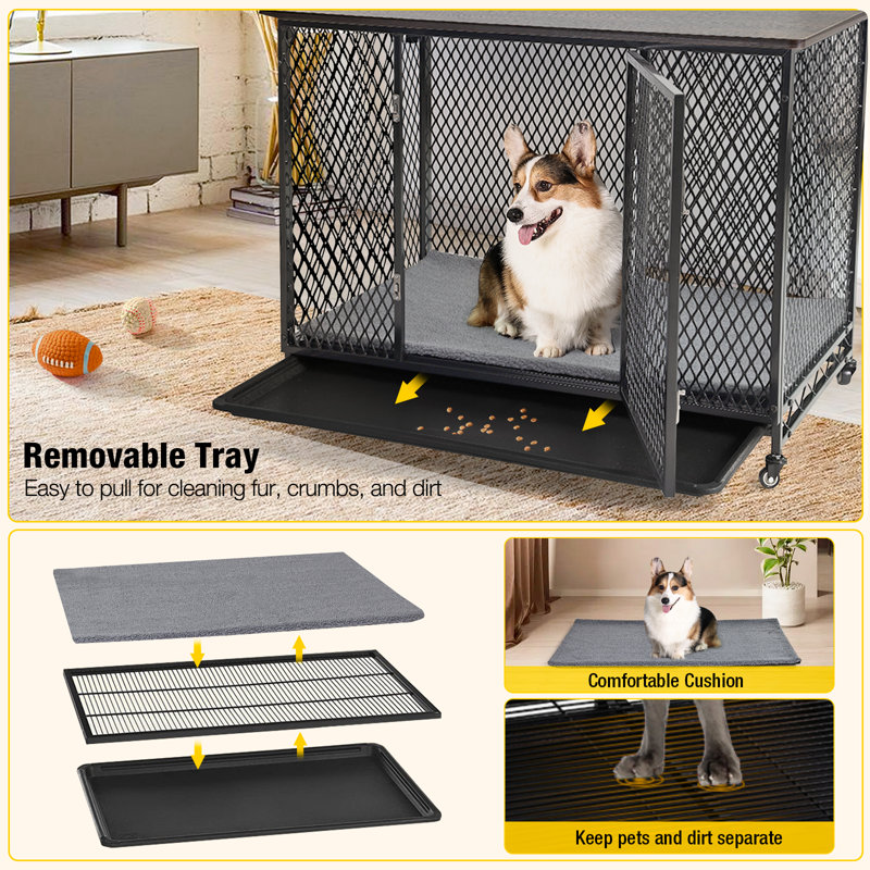 Tucker Murphy Pet™ Pet Carrier, 64.8cm H x 69.1cm W x 50.8cm D