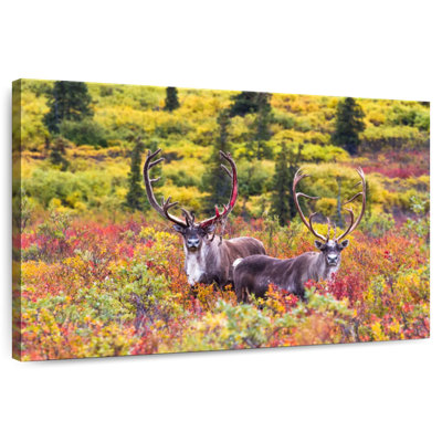 Paire de caribous Brampt