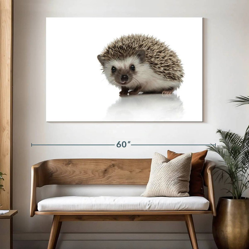 Brampt African Hedgehog, 34" H x 51" W