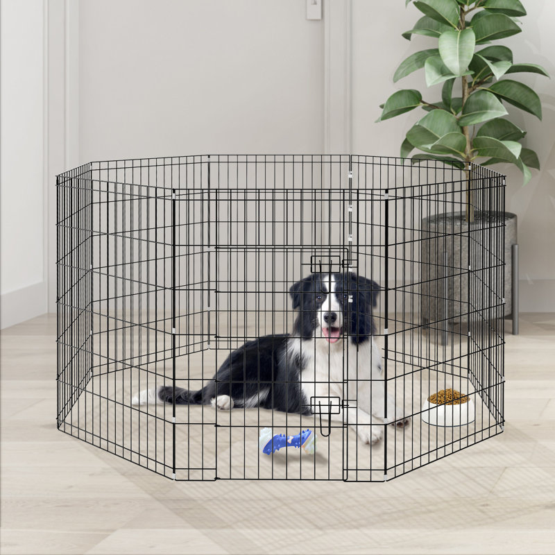 Parc pour chien pliable en métal à 36 panneaux H 36 po avec porte verrouillable, enclos d'exercice intérieur / extérieur pour chiens de taille moyenne à grande