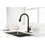 Robinet de cuisine avec douchette extractible-133011949