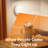 2.7Inch Motion Sensor Closet Light, 3 colors Wireless Rechargeable Under Cabinet Light