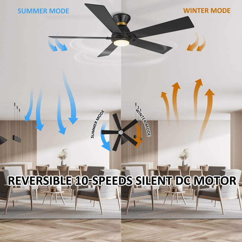Georgann Ceiling Fan with LED Lights, Black