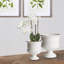 Mirabelle Ceramic Decorative Bowl-189286764