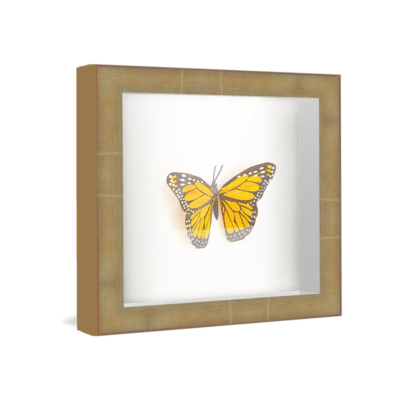 Ceija Black Solid Wood Shadow Box Picture Frame, 11" x 11"