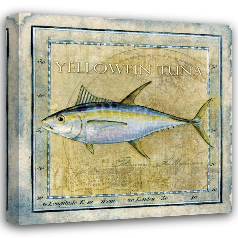 Millwood Pines Beth Anne Creative Gallery Wrapped Canvas Art Titled: Ocean Fish XII 76400D, 36" H x 36" W