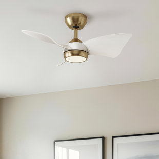30" Ceiling Fan with Light & Remote for Small Rooms – Dimmable LED, Quiet DC Motor – Modern Ceiling Fan for Nursery, Small Bedroom & Kitchen