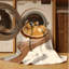 Machine Washable Klein Miso Soup Modern Solid Colour Rug in Beige – Beige Binding-1778753444