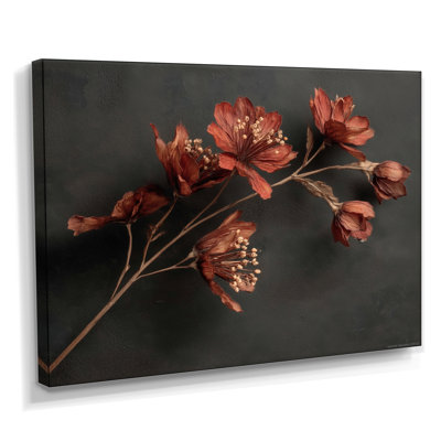 «Delicate Peruvian Lily - Lily, art mural, impression sur toile florale brune