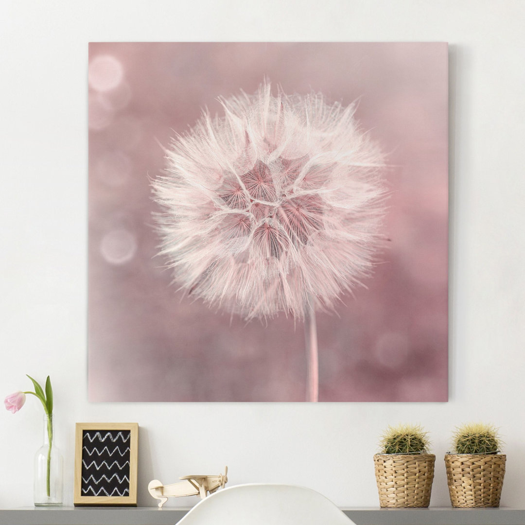 Leinwandbild Pusteblume Rosa