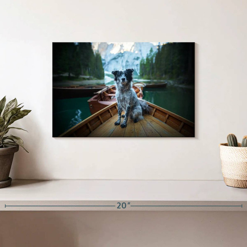 Border collie sur bateau, H 8 po x l 12 po