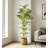 Minimalist Artificial Bamboo Potted Plant Indoor Decor Greenery