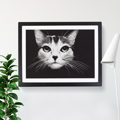 Magical Cat - Single Picture Frame Print