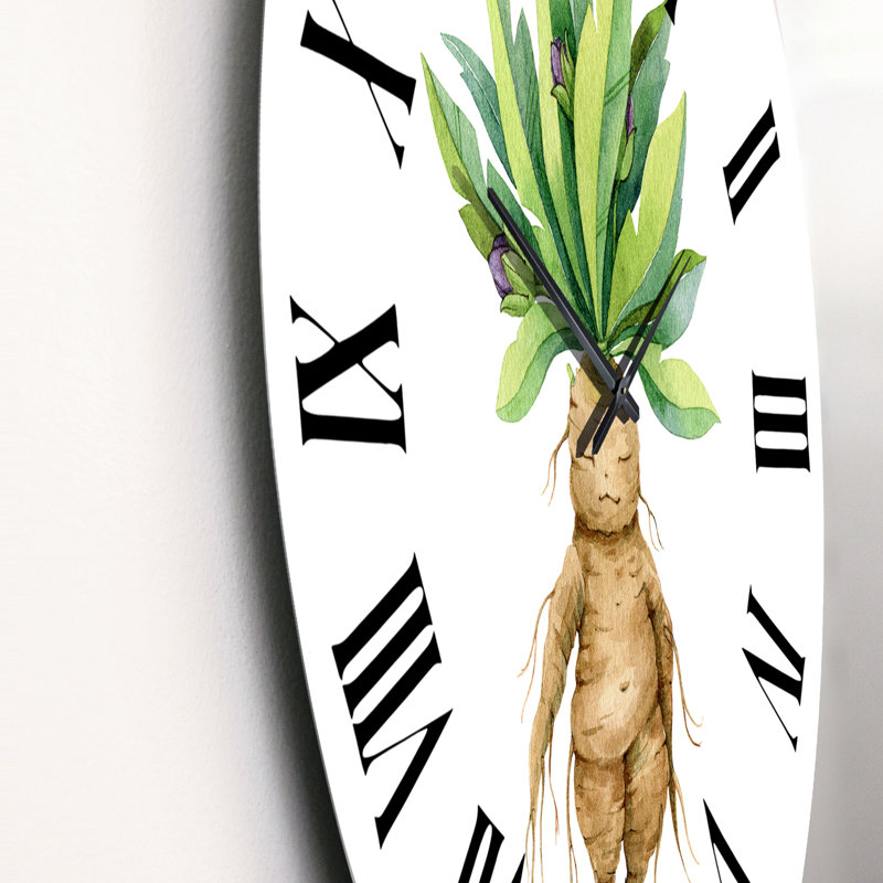 Mandragora plante - horloge murale traditionnelle, Moyen