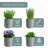 Indoor Herb Garden Planter Set with Tray-1273218285