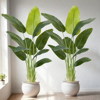 Artificial Bird of Paradise Tree - Realistic Large Tropical Plant with Nursery Pot