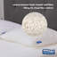 Cloud Comfort Pillow