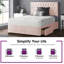 Gallego Divan Bed Base-201973460-201971395-201971455