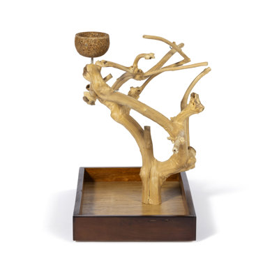 Freese One-of-a-Kind 28.75'' Wood Bird Play Stand for Table Top