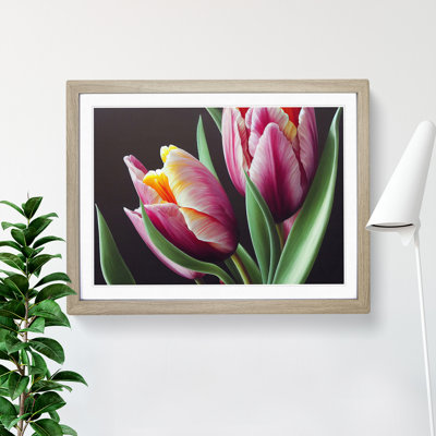Awe Inspiring Tulip Flowers - Framed Print