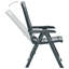 Carousel Garden Reclining Chairs Plastic-322097793