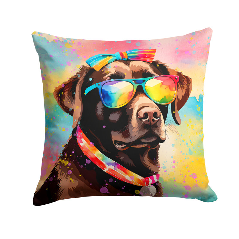  Coussin décoratif Autre / Sans motif, 14 po x 14 po