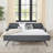 Twin Size Upholstery Daybed With Twin Size Erectable Trundle And USB Charging Design-795310520